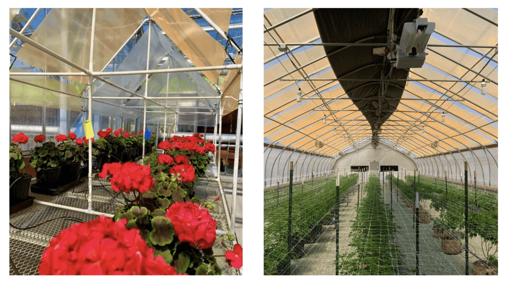 optimiza-luz-solar-invernaderos-k2-group