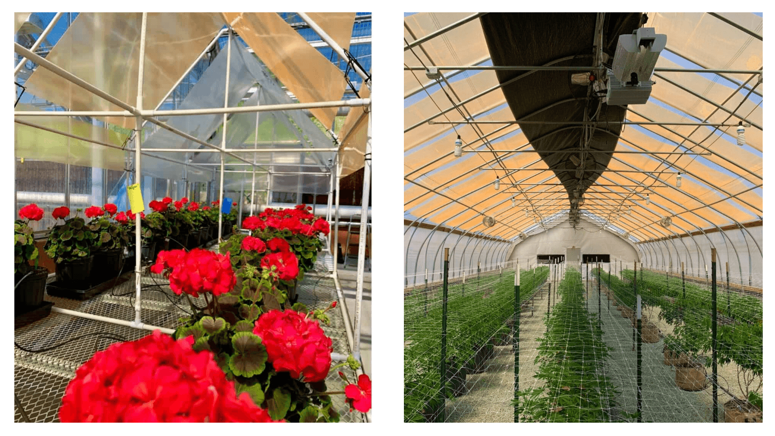 optimiza-luz-solar-invernaderos-k2-group